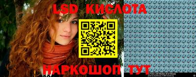 индика Комсомольск-на-Амуре