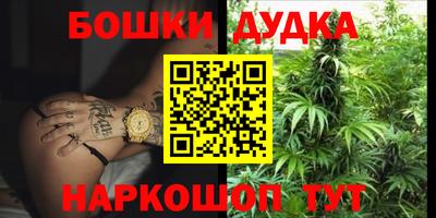 индика Комсомольск-на-Амуре