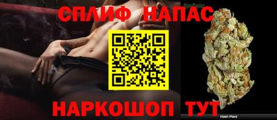 индика Комсомольск-на-Амуре