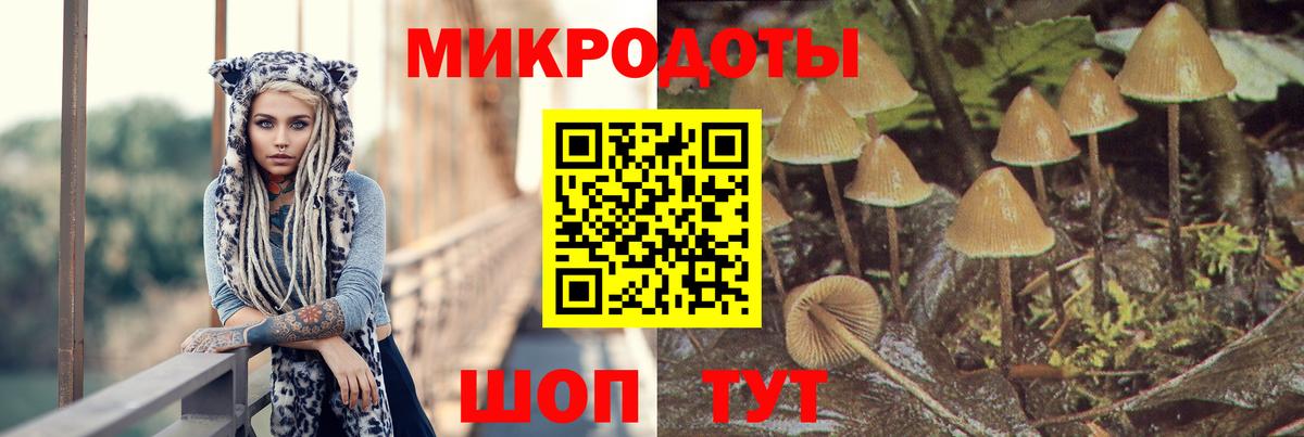 Псилоцибиновые грибы MAGIC MUSHROOMS  Вход с VPN  Чебоксары 